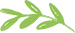 About Kenuo Logo Leaf New